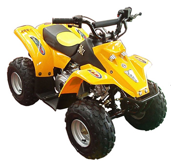 PM 50 MINI 